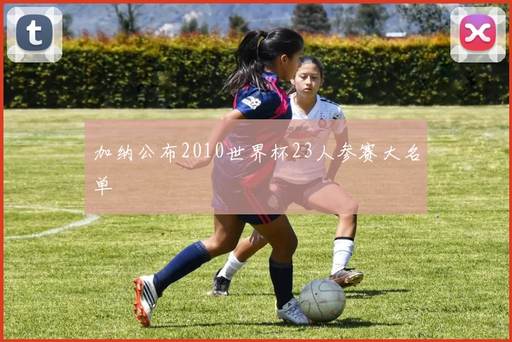 加纳公布2010世界杯23人参赛大名单
