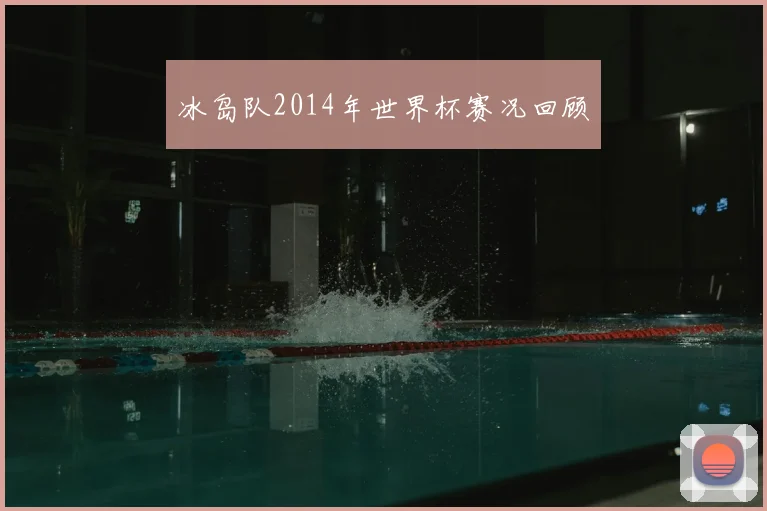冰岛队2014年世界杯赛况回顾