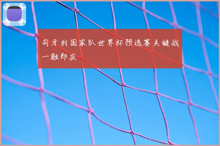 匈牙利国家队世界杯预选赛关键战一触即发