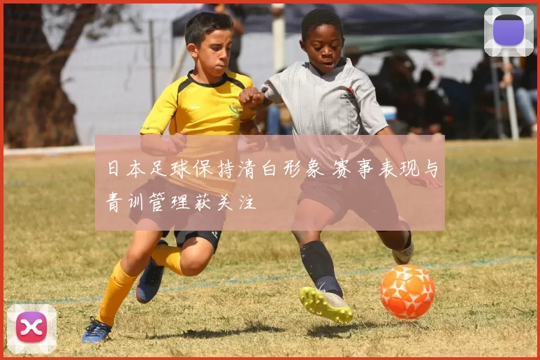 日本足球保持清白形象 赛事表现与青训管理获关注